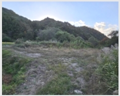  2024Ÿ1470  ȭ  긮 343      (1)