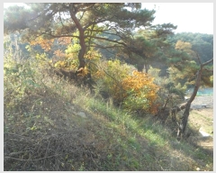  2024Ÿ1531  ȵ ȸ 14-8       (Ӿ)