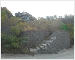  2024Ÿ1531  ȵ ȸ 14-8       (Ӿ)