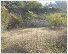  2024Ÿ1531  ȵ ȸ 14-8       (Ӿ)