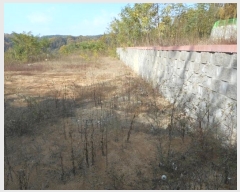  2024Ÿ1531  ȵ ȸ 14-8       (Ӿ)