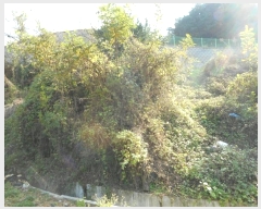  2024Ÿ1531  ȵ ȸ 14-8       (Ӿ)