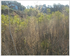  2024Ÿ1531  ȵ ȸ 14-8       (Ӿ)