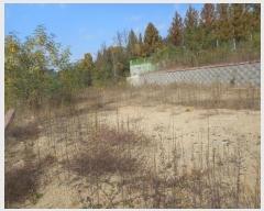  2024Ÿ1531  ȵ ȸ 14-8       (Ӿ)