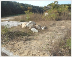  2024Ÿ1531  ȵ ȸ 14-8       (Ӿ)