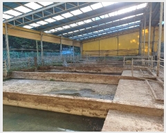  2024Ÿ��1586  ���(�󰡽ü�)���