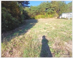  2024Ÿ��1586  ���(�󰡽ü�)���