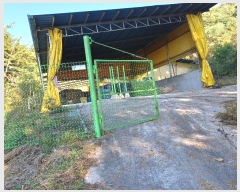  2024Ÿ��1586  ���(�󰡽ü�)���