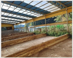  2024Ÿ��1586  ���(�󰡽ü�)���