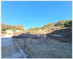  2024Ÿ1647  ȵ ȸ 14-1       ()