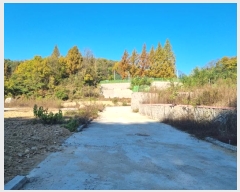  2024Ÿ1647  ȵ ȸ 14-1       ()