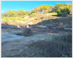  2024Ÿ1647  ȵ ȸ 14-1       ()