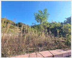  2024Ÿ1647  ȵ ȸ 14-1       ()