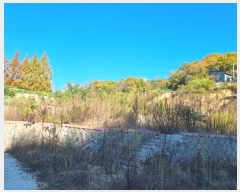  2024Ÿ1647  ȵ ȸ 14-1       ()