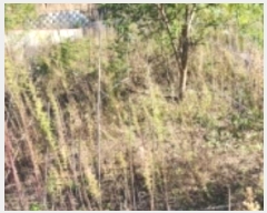  2024Ÿ1647  ȵ ȸ 14-1       ()