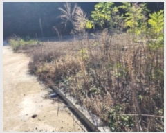  2024Ÿ1647  ȵ ȸ 14-1       ()