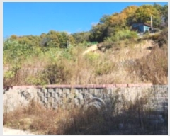  2024Ÿ1647  ȵ ȸ 14-1       ()