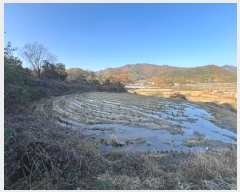  2024Ÿ��1708  ����