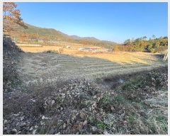  2024Ÿ��1708  ����