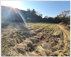  2024Ÿ��1708  ����