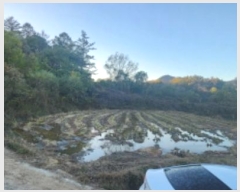  2024Ÿ��1708  ����