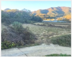  2024Ÿ��1708  ����