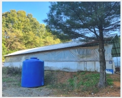  2024Ÿ1739  ֽ  縮 46      (1)