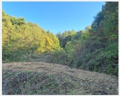  2024Ÿ1739  ֽ  縮 46      (1)