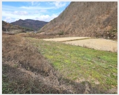  2024Ÿ1791  ȵ  ڸ 406      ()