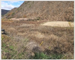  2024Ÿ1791  ȵ  ڸ 406      ()