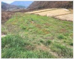  2024Ÿ1791  ȵ  ڸ 406      ()