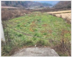  2024Ÿ1791  ȵ  ڸ 406      ()