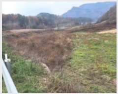  2024Ÿ1791  ȵ  ڸ 406      ()