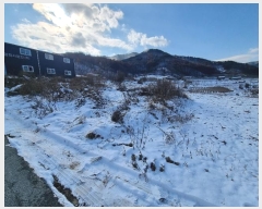  2024Ÿ1852  ȭ  л긮 309-3      ()