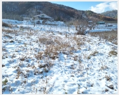  2024Ÿ1852  ȭ  л긮 309-3      ()