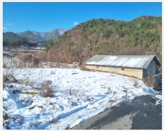  2024Ÿ1852  ȭ  л긮 309-3      ()