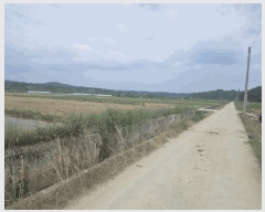  2024Ÿ��2091 ��� ���ֽ� �̻�� �žϸ� 529-12      ����(��)���