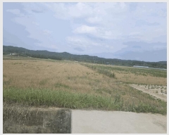  2024Ÿ��2091 ��� ���ֽ� �̻�� �žϸ� 529-12      ����(��)���