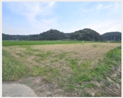  2024Ÿ��2091 ��� ���ֽ� �̻�� �žϸ� 508-6      ����(��)���