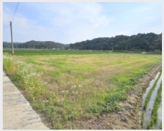  2024Ÿ��2091 ��� ���ֽ� �̻�� �žϸ� 508-6      ����(��)���