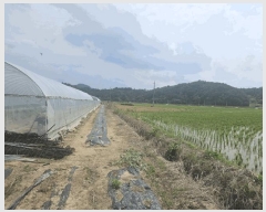  2024Ÿ��2091 ��� ���ֽ� �̻�� �žϸ� 529-12      ����(��)���