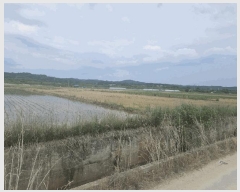  2024Ÿ��2091 ��� ���ֽ� �̻�� �žϸ� 529-12      ����(��)���