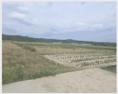  2024Ÿ��2091 ��� ���ֽ� �̻�� �žϸ� 529-12      ����(��)���