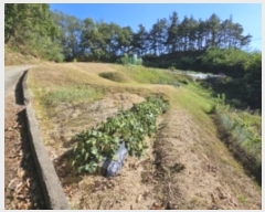  2024Ÿ��103246 ��� ���ֽ� �̻�� ��� 936      ����(��1)���