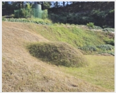  2024Ÿ��103246 ��� ���ֽ� �̻�� ��� 936      ����(��1)���