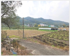  2024Ÿ103390  ȵ  ۸ 268-1      (1)