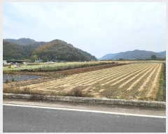  2024Ÿ103390  ȵ  ۸ 268-1      (1)