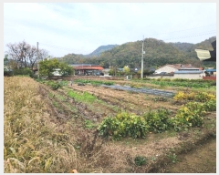  2024Ÿ103390  ȵ  ۸ 268-1      (1)