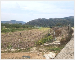  2024Ÿ103390  ȵ  ۸ 268-1      (1)