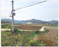  2024Ÿ103390  ȵ  ۸ 268-1      (1)